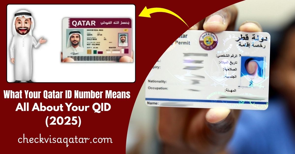 What Your Qatar ID Number Means: All About Your QID (2025)